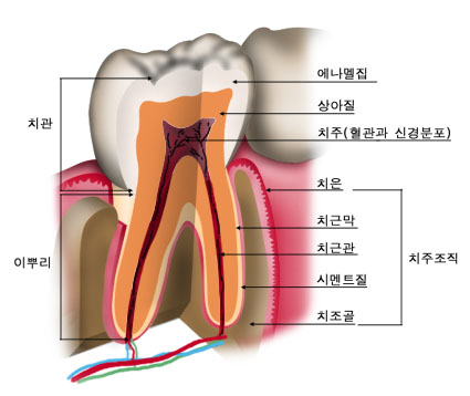 의약품 이미지